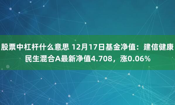 股票中杠杆什么意思 12月17日基金净值：建信健康民生混合A最新净值4.708，涨0.06%