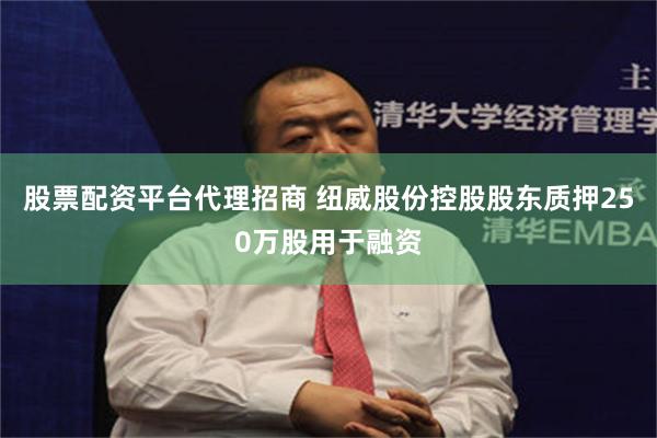 股票配资平台代理招商 纽威股份控股股东质押250万股用于融资