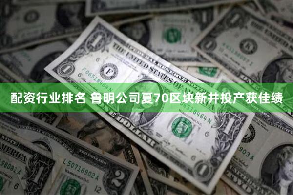 配资行业排名 鲁明公司夏70区块新井投产获佳绩