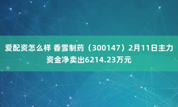 爱配资怎么样 香雪制药（300147）2月11日主力资金净卖出6214.23万元