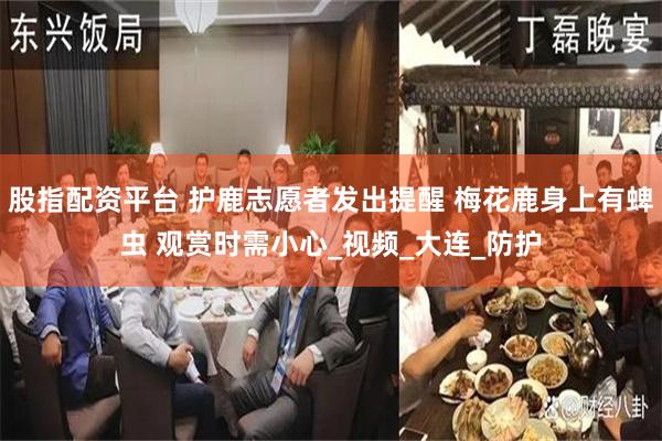 股指配资平台 护鹿志愿者发出提醒 梅花鹿身上有蜱虫 观赏时需小心_视频_大连_防护