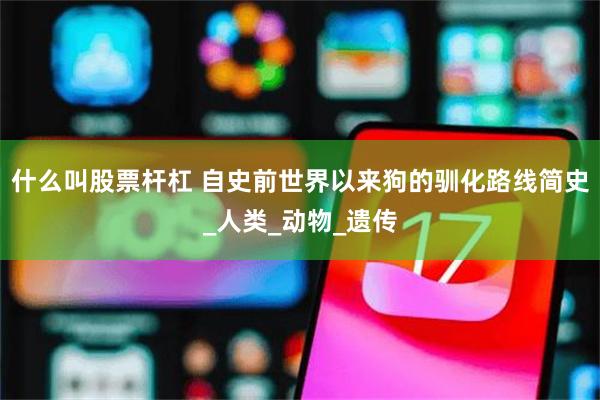   什么叫股票杆杠 自史前世界以来狗的驯化路线简史_人类_动物_遗传