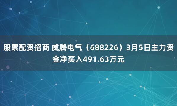 股票配资招商 威腾电气（688226）3月5日主力资金净买入491.63万元