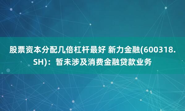 股票资本分配几倍杠杆最好 新力金融(600318.SH)：暂未涉及消费金融贷款业务