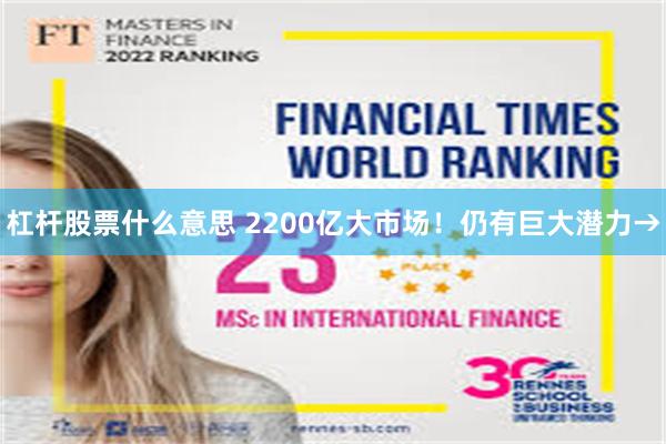 杠杆股票什么意思 2200亿大市场！仍有巨大潜力→