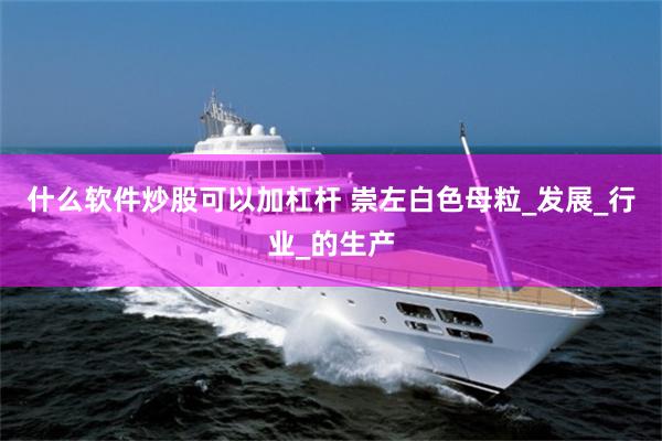 什么软件炒股可以加杠杆 崇左白色母粒_发展_行业_的生产