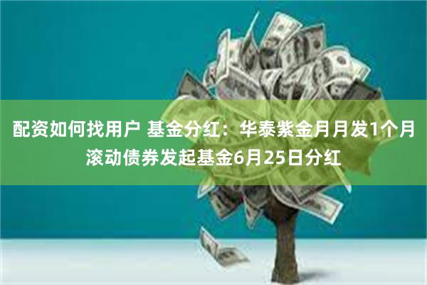 配资如何找用户 基金分红：华泰紫金月月发1个月滚动债券发起基金6月25日分红