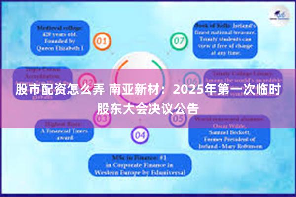 股市配资怎么弄 南亚新材：2025年第一次临时股东大会决议公告