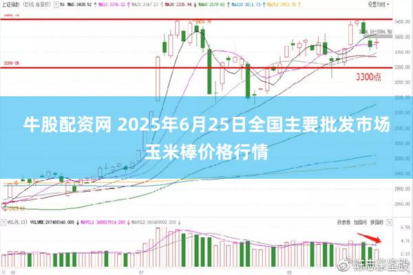 牛股配资网 2025年6月25日全国主要批发市场玉米棒价格行情
